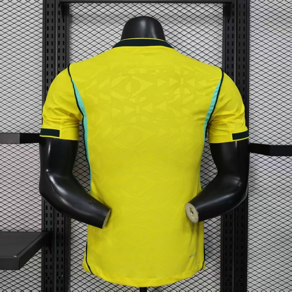 BRASIL LOCAL 2026 VERSIÓN PLAYER